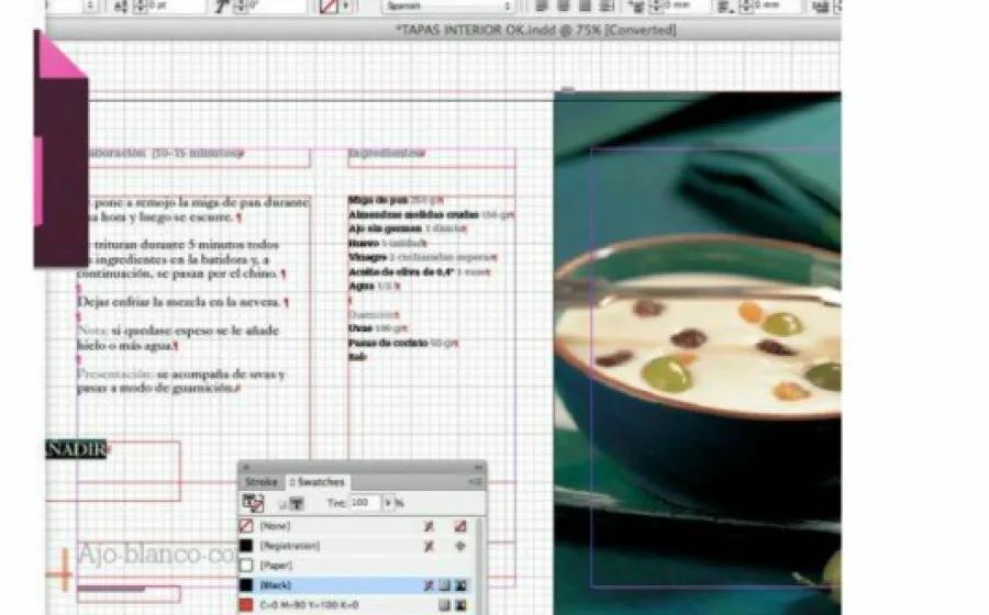 INDESIGN: CURSO PRACTICO PARA LA MAQUETACIÓN PROFESIONAL 