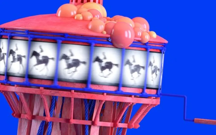 ANIMARIO