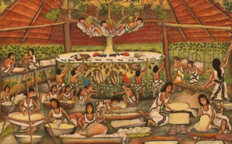 AMAZONÍAS