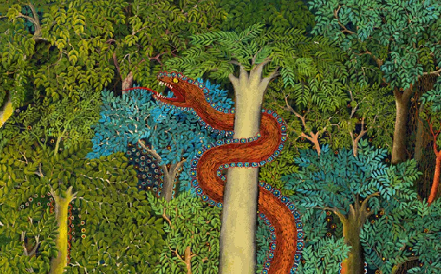 AMAZONÍAS