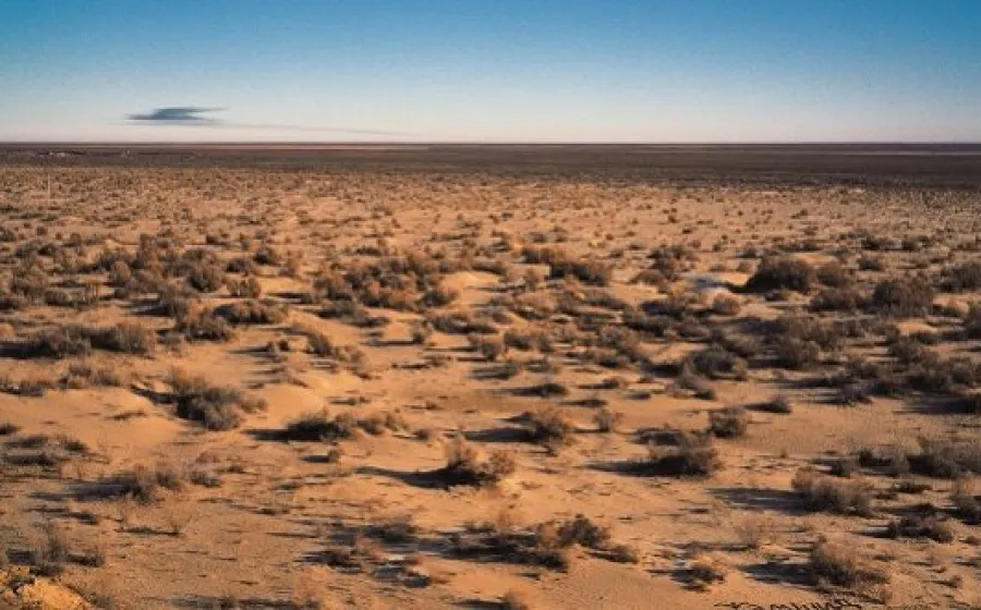 Aral. Fishing in an Invisible Sea (2004)