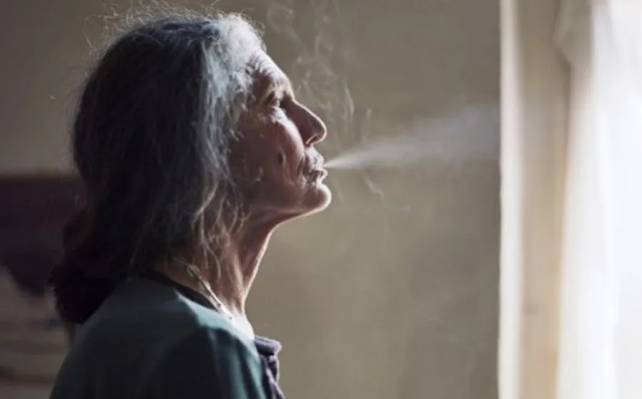 The Disappearance of My Mother