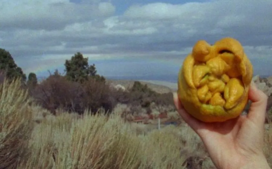 Fotograma de Words, Planets , Laida Lertxundi, 2018
