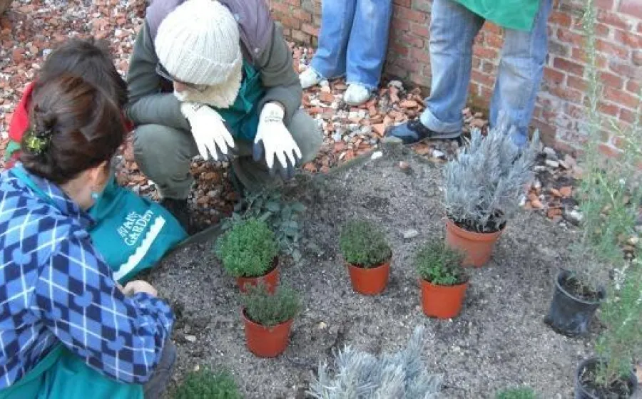 TALLER PARA EL CUIDADO DEL JARDÍN AVANT GARDEN