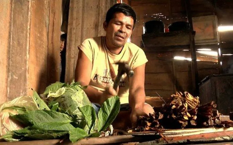 AYAHUASCA