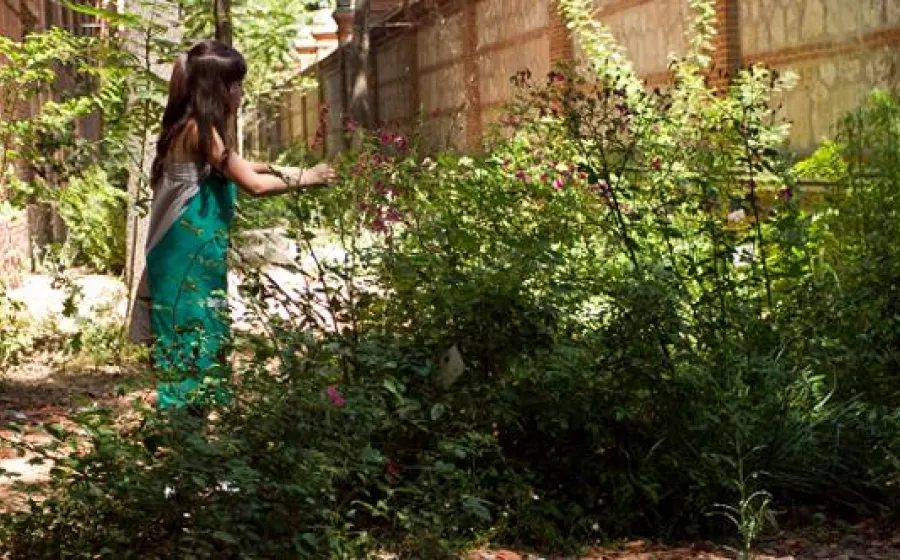 TALLER PARA EL CUIDADO DEL JARDÍN AVANT GARDEN
