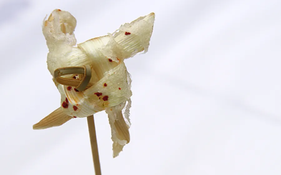 FOODIGAMI