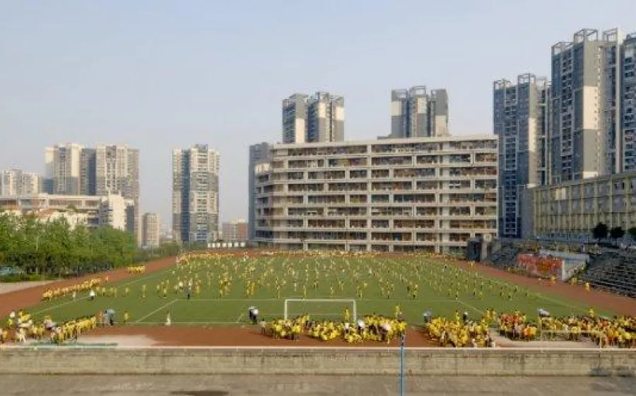 HUMAN SCALE