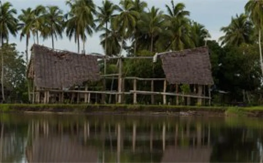 LA ISLA SALVAJE