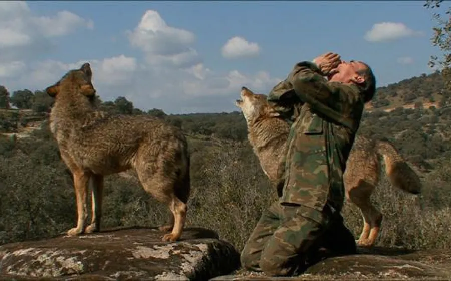 MARCOS, EL LOBO SOLITARIO