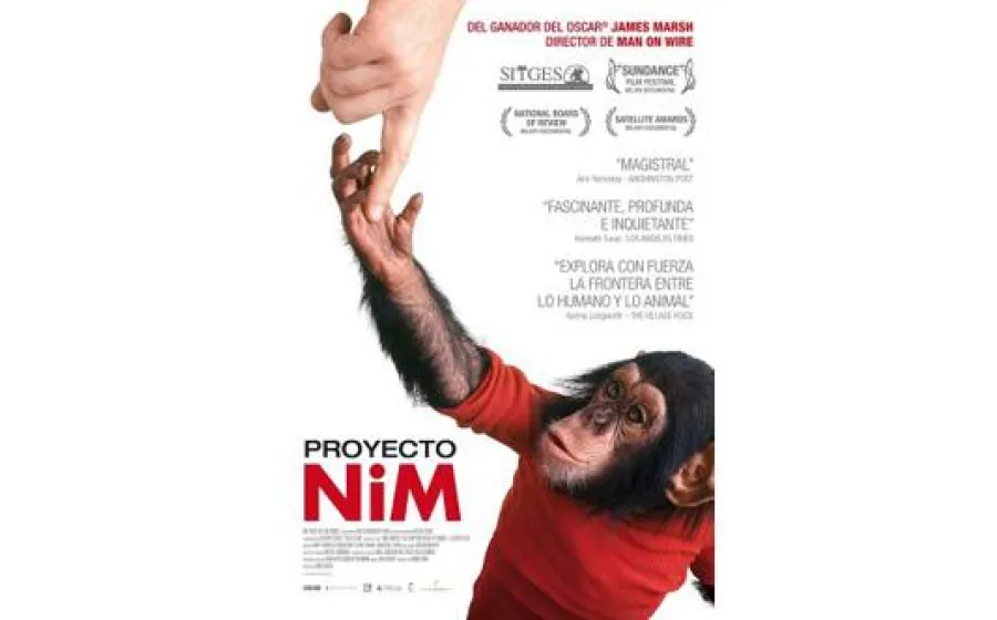 PROYECTO NIM