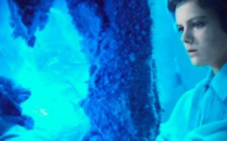 LA REINA DE HIELO