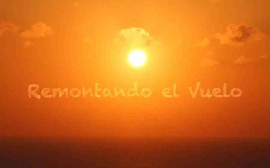 REMONTANDO EL VUELO