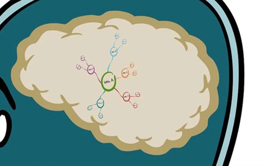 Visual Thinking