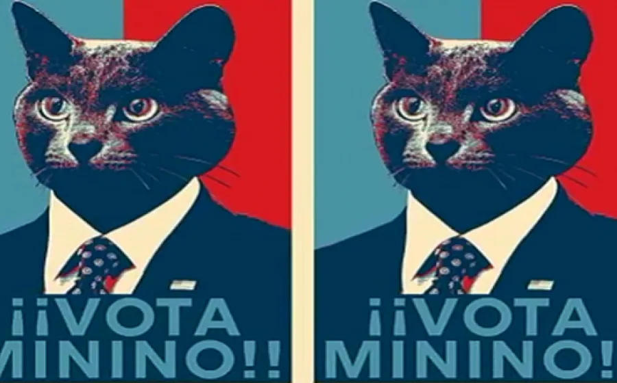 ¡¡VOTA MININO!! 