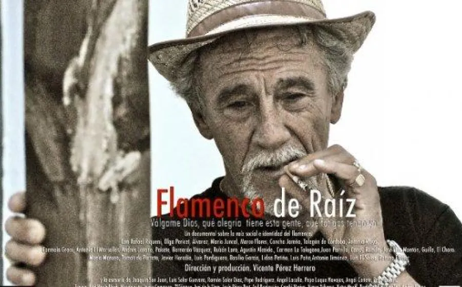 VÁLGAME DIOS QUÉ ALEGRÍA TIENE ESTA GENTE, QUÉ FATIGAS TENGO YO. FLAMENCO DE RAÍZ.