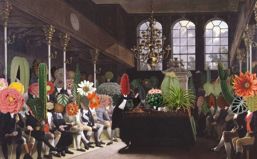 Studio Celine Baumann. Parliament of Plants
