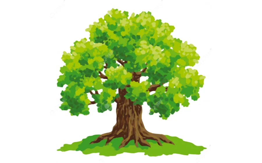 El árbol Robleto