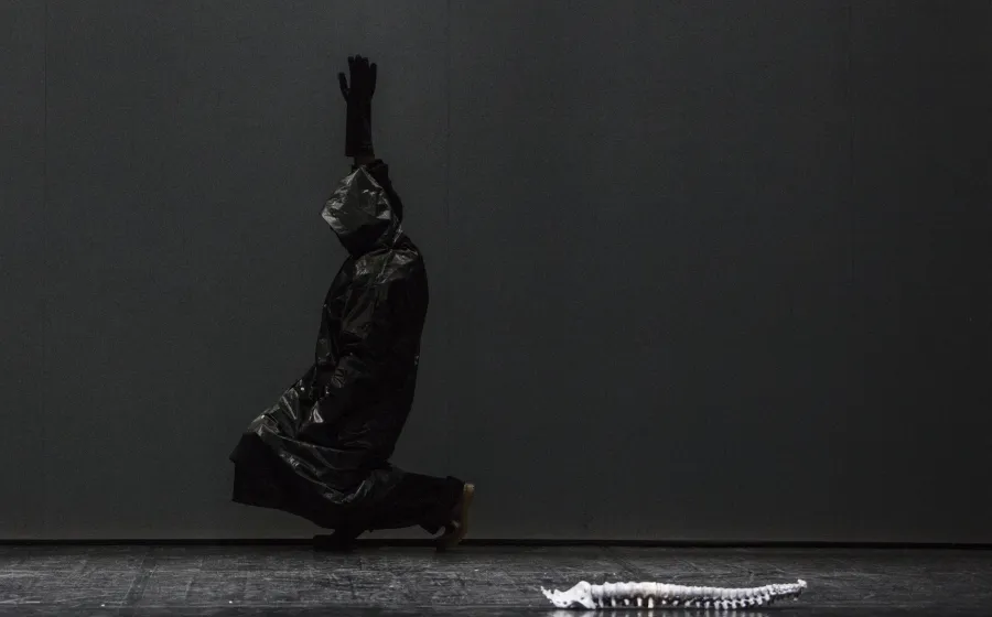 Imagen de la performance