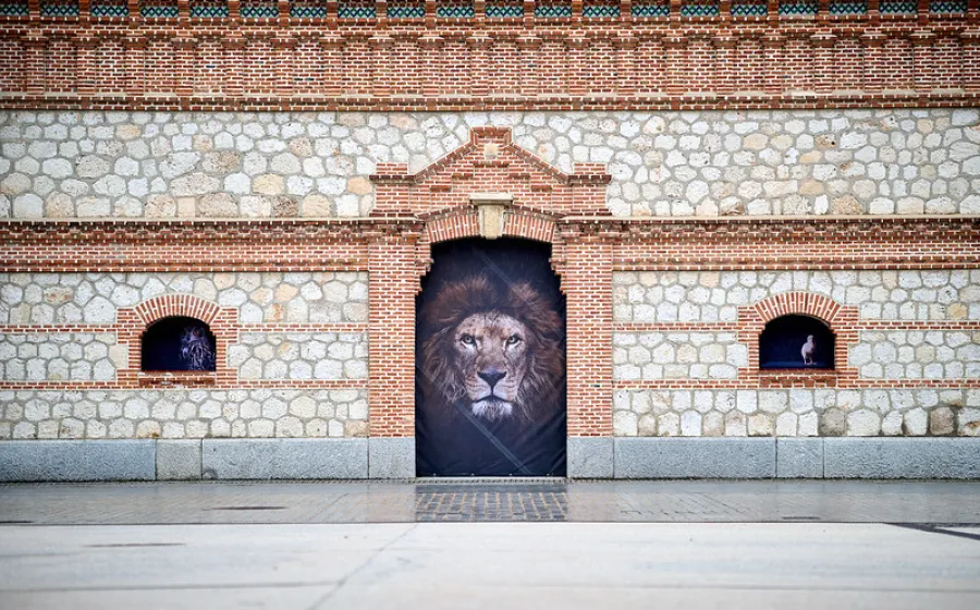 The Animals. Estela de Castro. Matadero Madrid