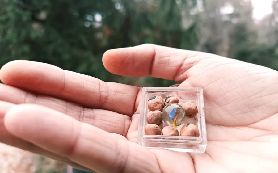 Mano sujeta una caja con canicas