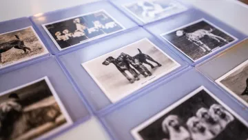 Fotos antiguas en un álbum