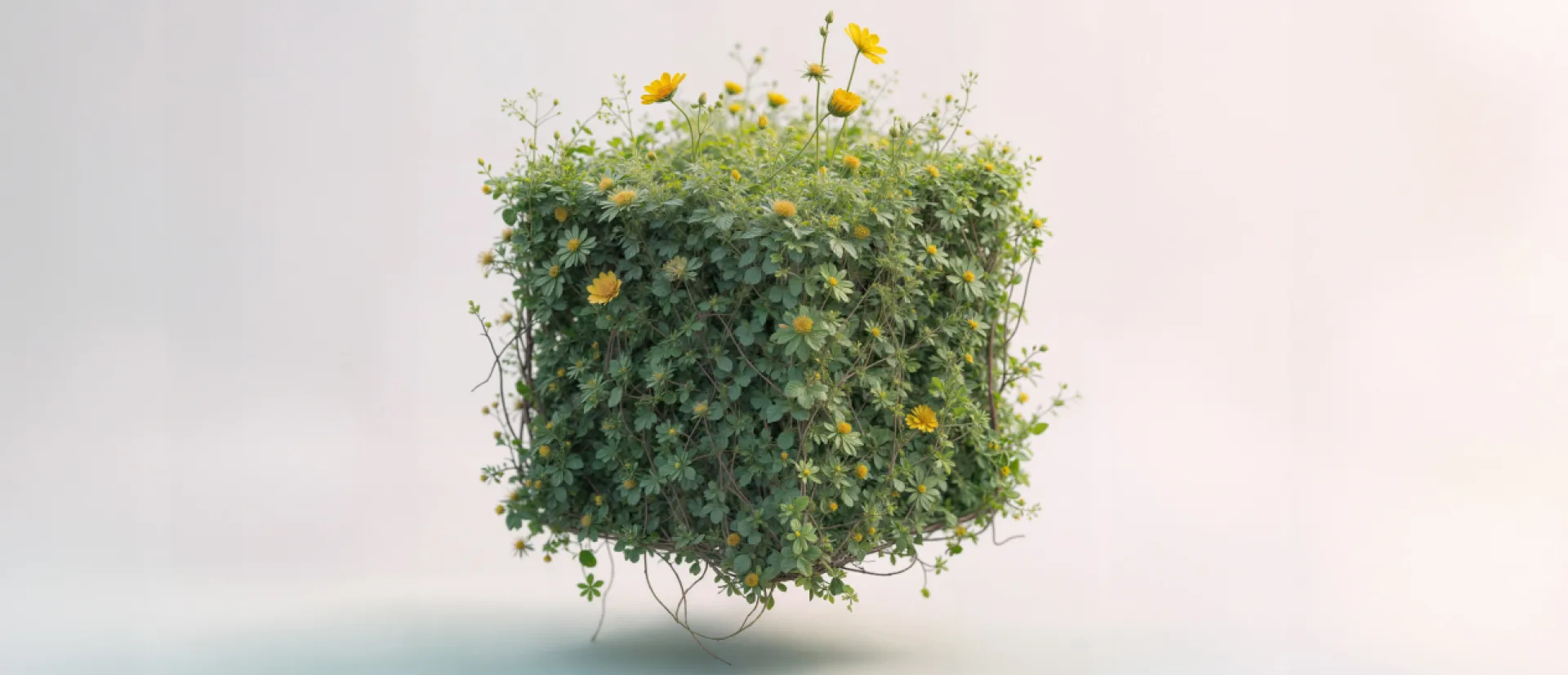 Cubo vegetal con florecillas amarillas