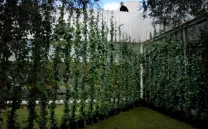 Intervención en la Fundación Miró, 2010. Barcelona.