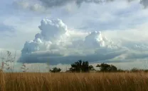Edgardo Aragón, Matamoros, 2010. Video still. Cortesía del artista. Edgardo Aragón