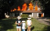 Lagartijas tiradas al sol