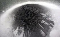 EXPOSICIONES: LUZ, SIMBOLOGÍA Y TIEMPO