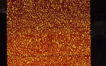 NAVID NUUR. HOCUS FOCUS