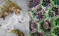 VIAJE A TRAVÉS DE LOS PAISAJES INVISIBLES DE LA MICRO Y MACRO REALIDAD