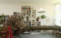 FESTIVAL RENCONTRES INTERNATIONALES