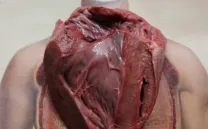 PROYECTOS ESCÉNICOS