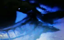 Desplante, laura pacheco