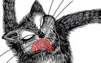 ¡HASTA LUEGO, SELLO SALVAJE!