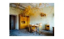 Dead domestic plants II Ville Lenkkeri