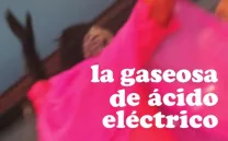 THE ELECTRIC KOOL-AID ACID TEST