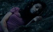 OPEN TERRARIO / EVELYN