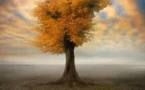 SUEÑOS FANTÁSTICOS