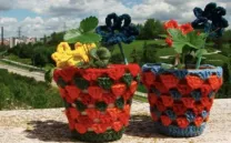 La invasión de las lanas