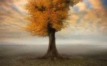 LITERATURA FANTÁSTICA