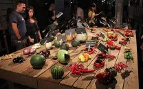 ¿QUÉ COSECHAMOS? II