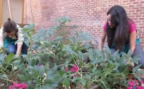 TALLER PARA EL CUIDADO DEL JARDÍN AVANT GARDEN