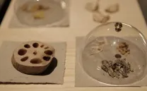 EL RANCHITO FOCUS FINLAND