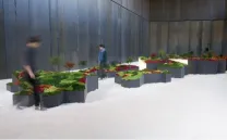 VISITA TALLER AL JARDÍN JAPONÉS