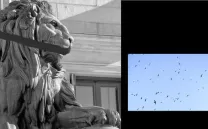 UNTIL LIONS HAVE THEIR OWN HISTORIANS...