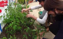 AGRONAUTAS NRU - TETUÁN