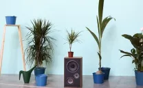 SI NO TODAS LAS ARMAS, LOS CAÑONES